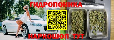 СК Можга