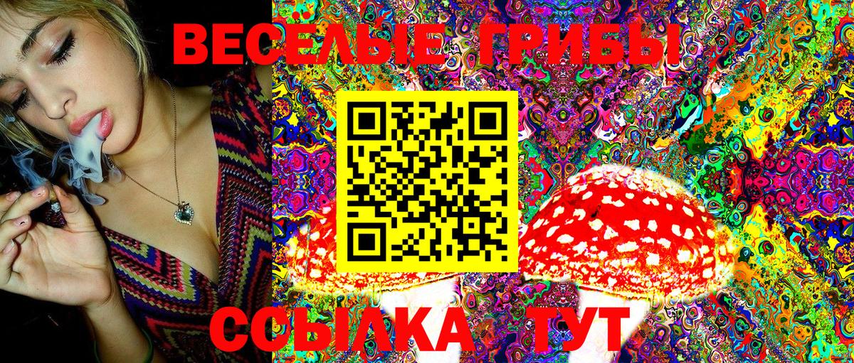 Псилоцибиновые грибы Cubensis Урюпинск