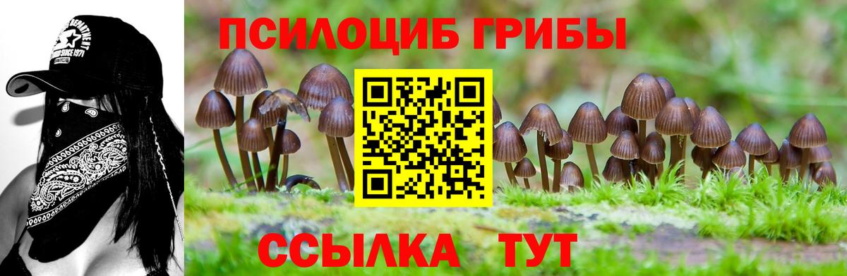 Псилоцибиновые грибы GOLDEN TEACHER  Вход с VPN  Урюпинск 
